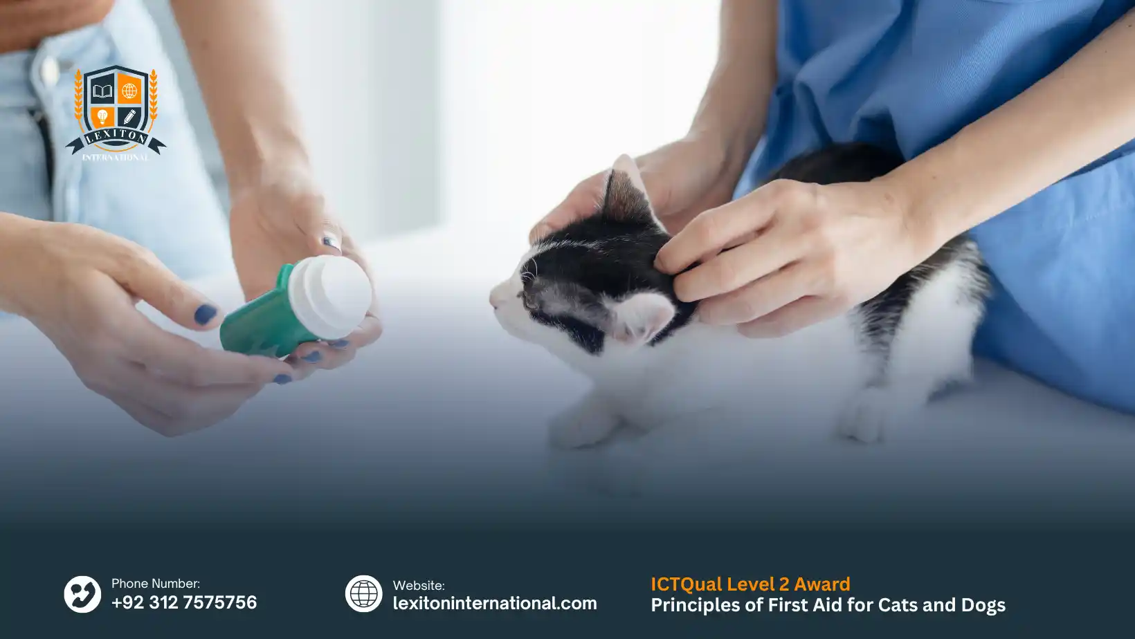 ICTQual Level 2 Award in Principles of First Aid for Cats and Dogs