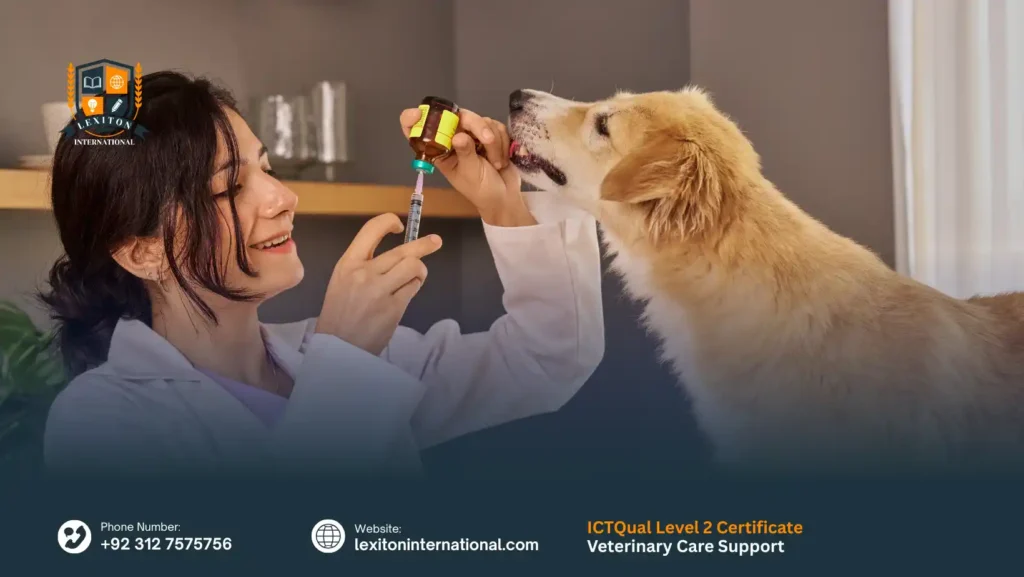 ICTQual Level 2 Certificate in Veterinary Care Support