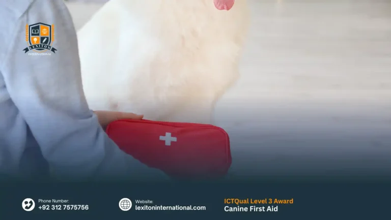 ICTQual Level 3 Award in Canine First Aid