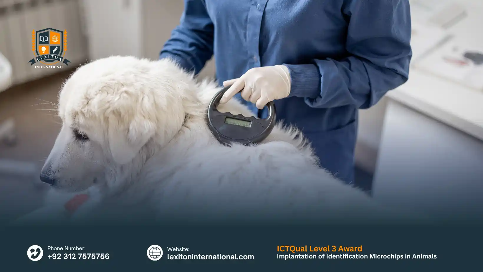 ICTQual Level 3 Award in Implantation of Identification Microchips in Animals