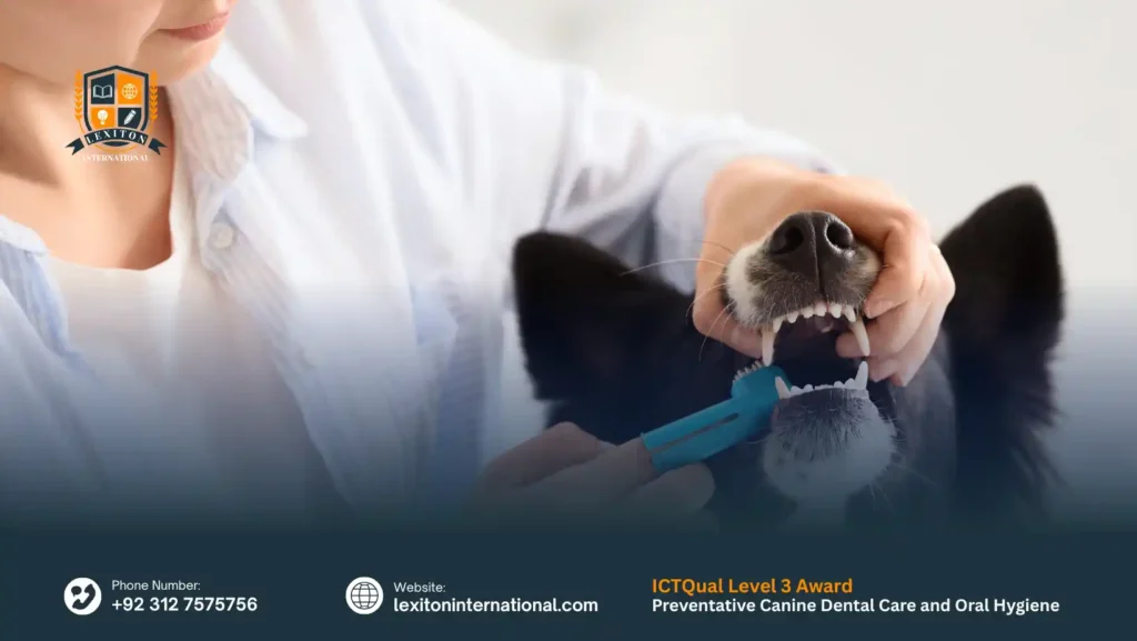 ICTQual Level 3 Award in Preventative Canine Dental Care and Oral Hygiene 