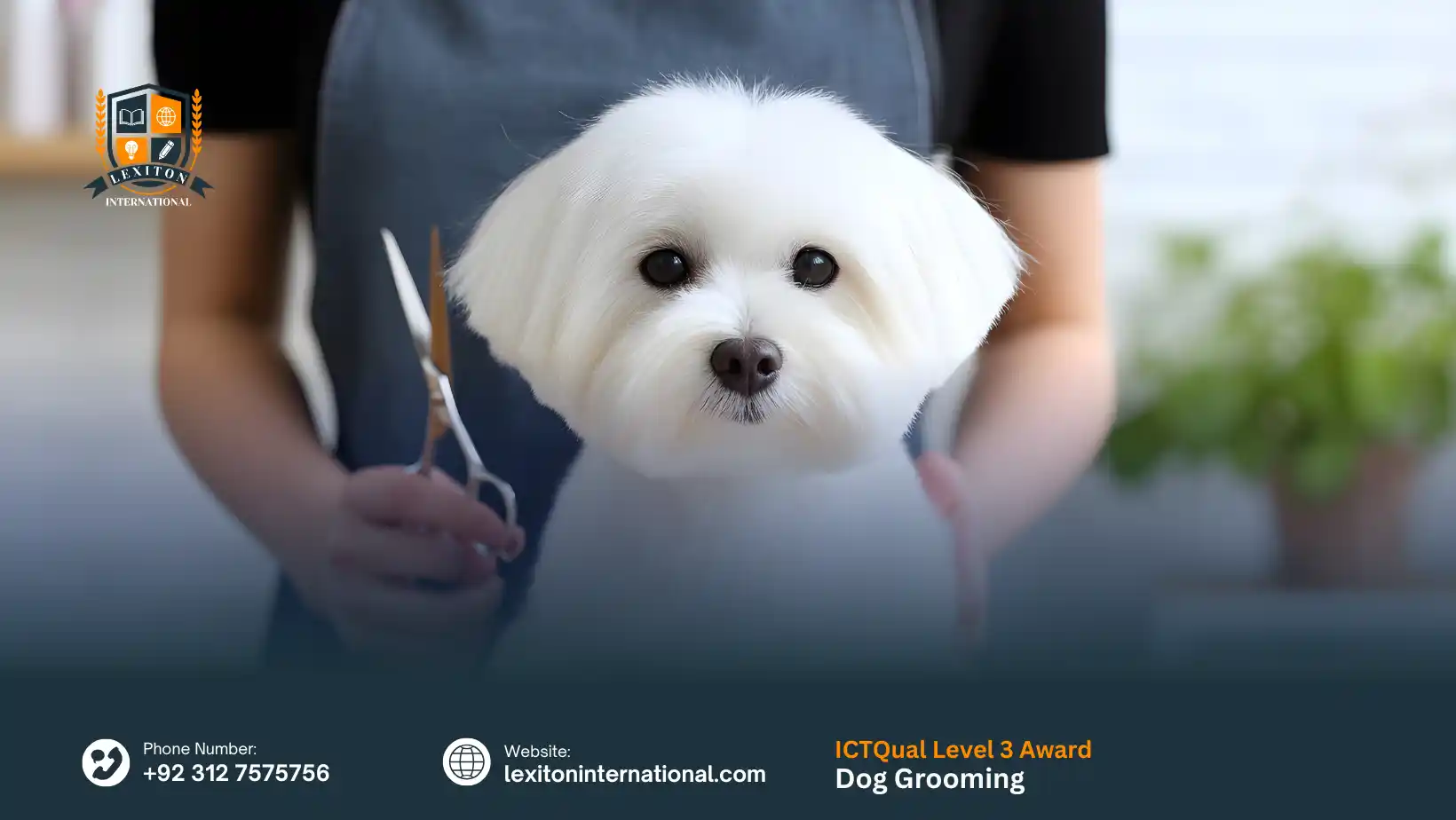 ICTQual Level 3 Diploma in Dog Grooming