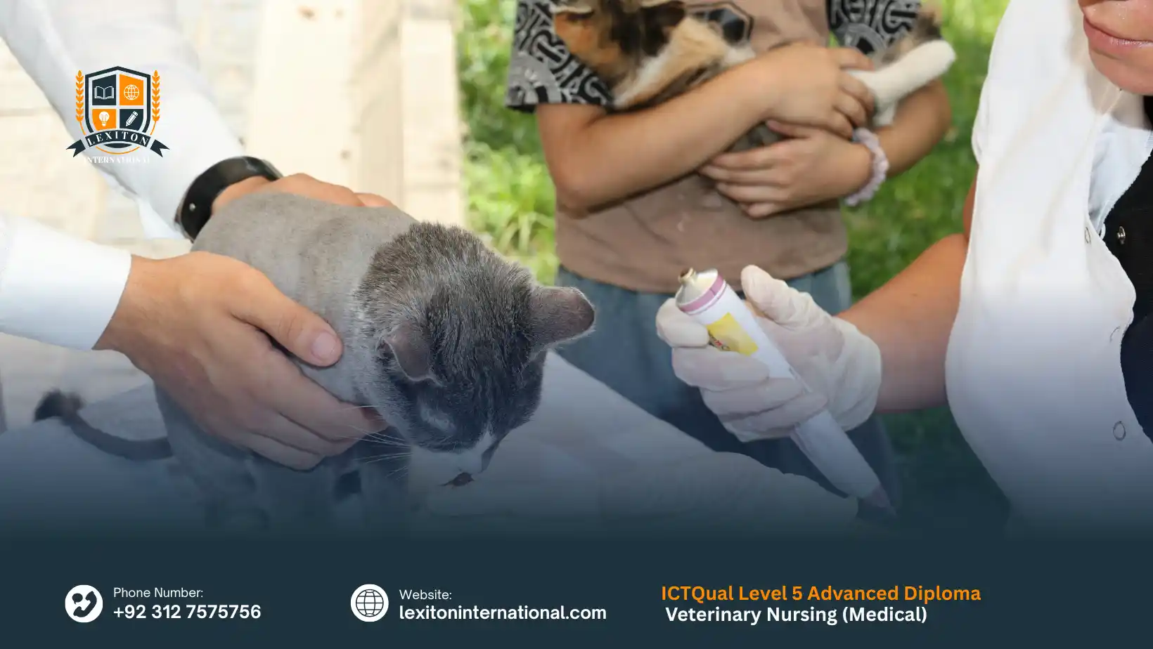 ICTQual Level 5 Advanced Diploma in Veterinary Nursing (Medical)