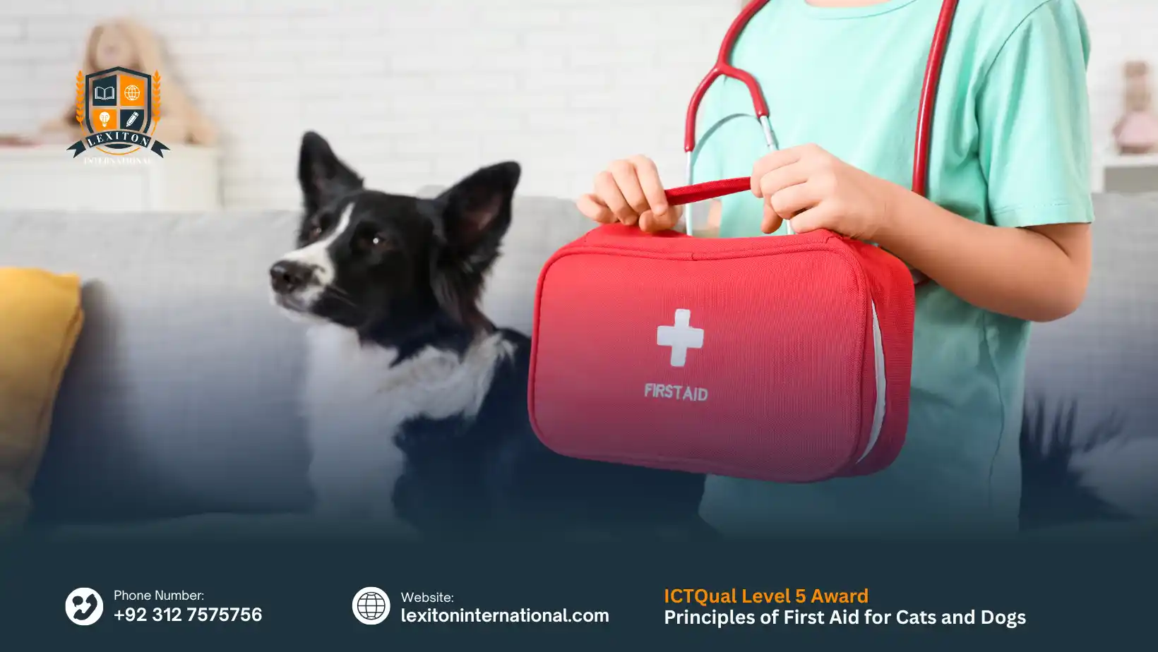 ICTQual Level 5 Award in Principles of First Aid for Cats and Dogs