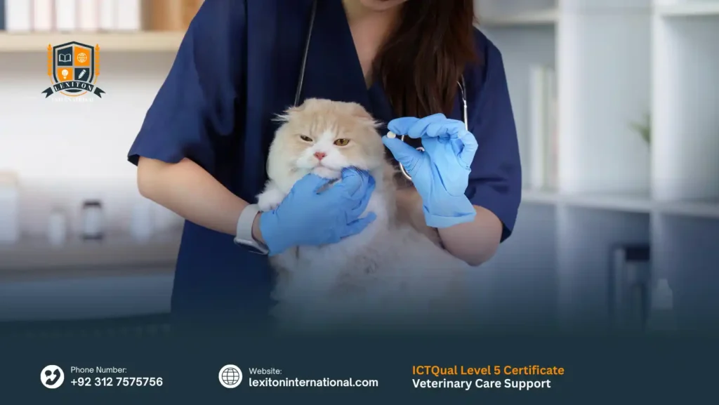 ICTQual Level 5 Certificate in Veterinary Care Support
