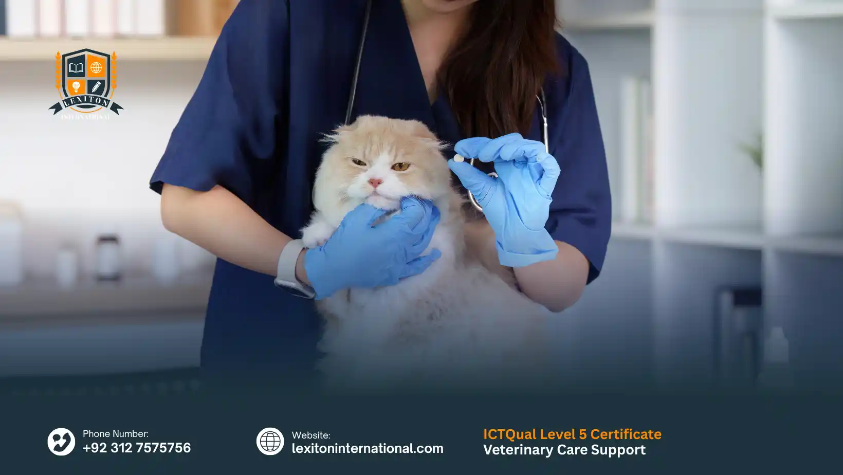 ICTQual Level 5 Certificate in Veterinary Care Support