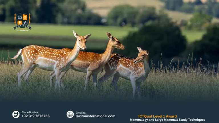 ICTQual Level 1 Award in Mammalogy and Large Mammals Study Techniques