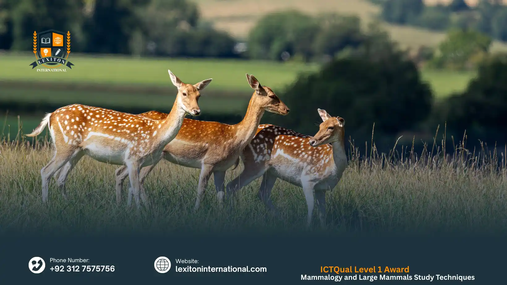 ICTQual Level 1 Award in Mammalogy and Large Mammals Study Techniques