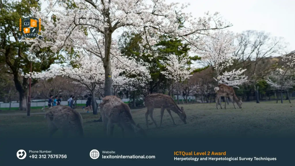 ICTQual Level 2 Award in Herpetology and Herpetological Survey Techniques