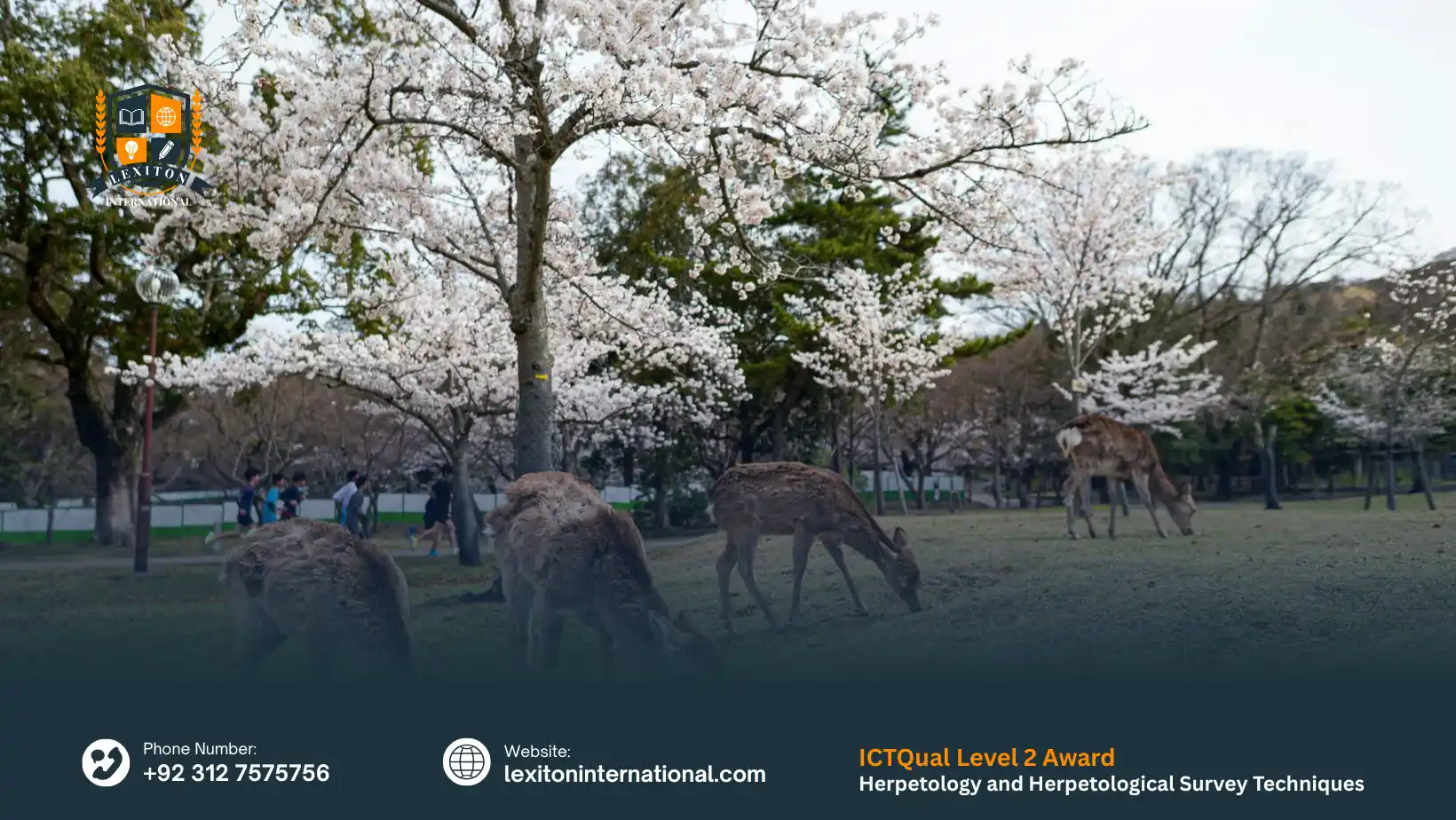 ICTQual Level 2 Award in Herpetology and Herpetological Survey Techniques