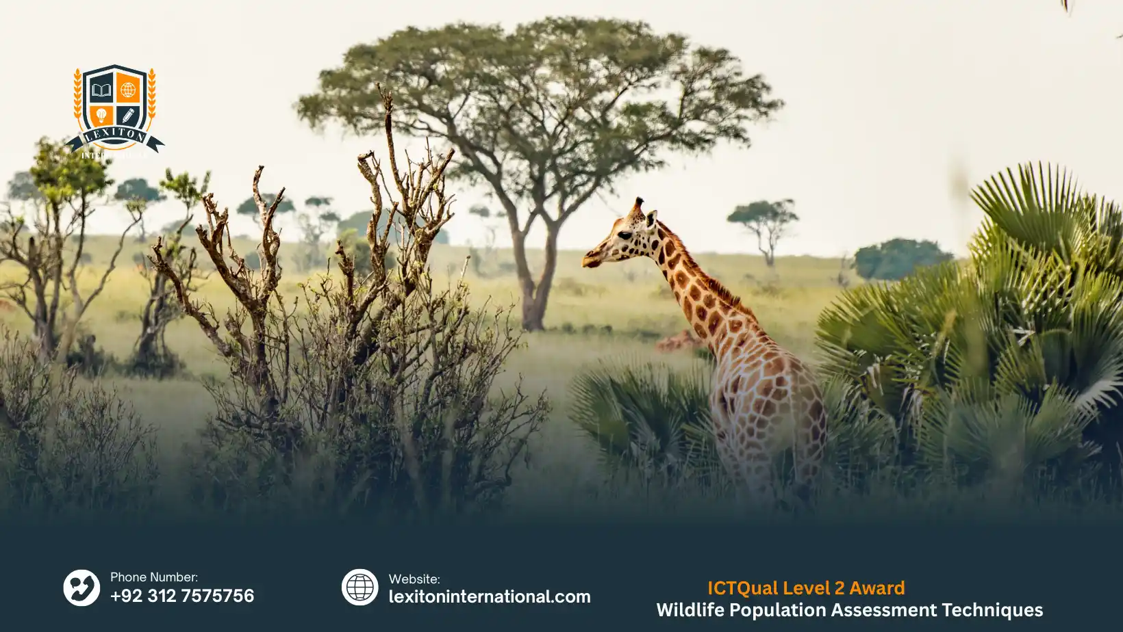 ICTQual Level 2 Award in Wildlife Population Assessment Techniques