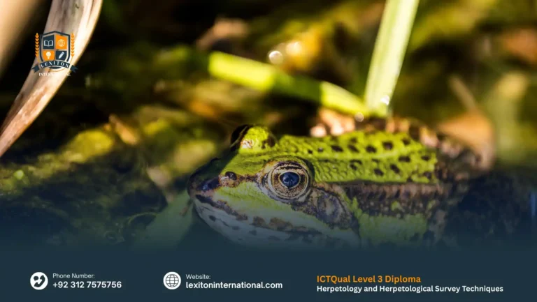 ICTQual Level 3 Diploma in Herpetology and Herpetological Survey Techniques