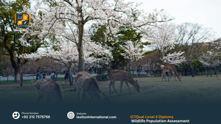 ICTQual Level 4 Diploma in Wildlife Population Assessment Techniques