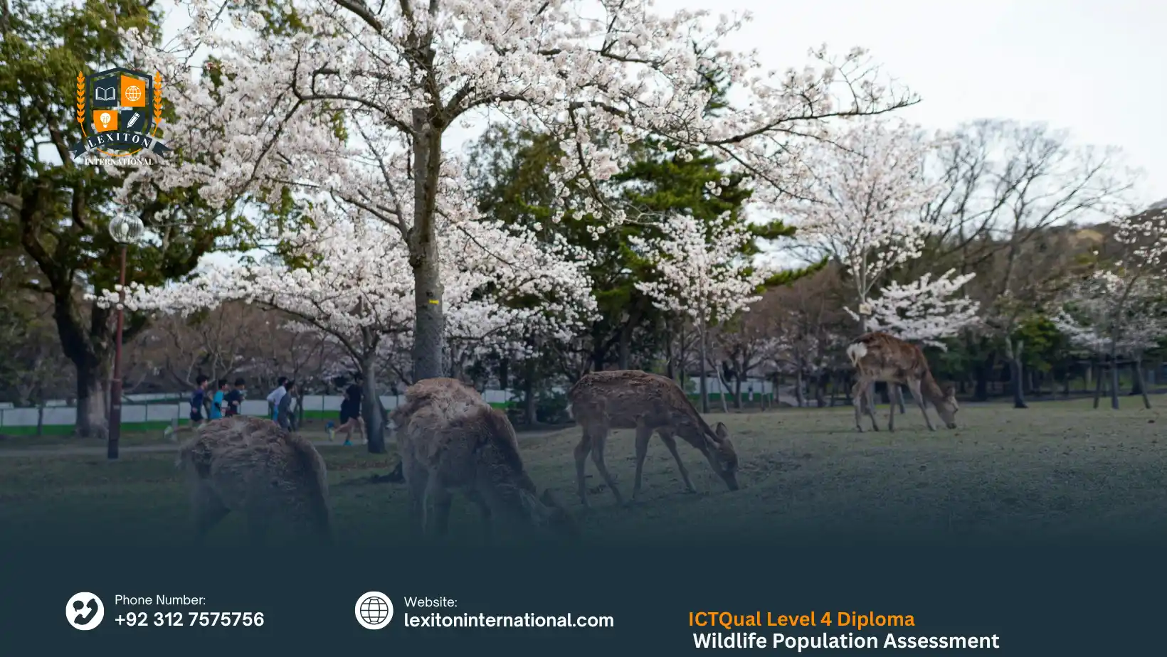 ICTQual Level 4 Diploma in Wildlife Population Assessment Techniques