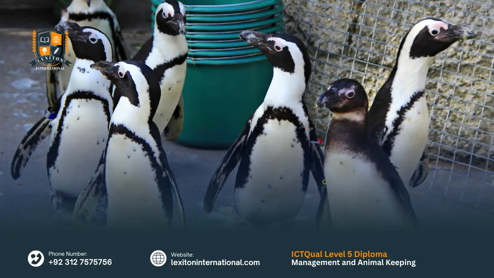 ICTQual Level 5 Diploma in Zoo Management and Animal Keeping