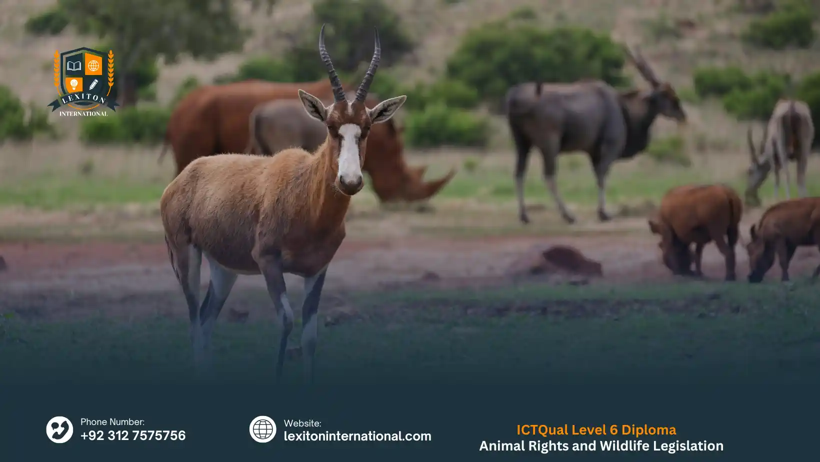 ICTQual Level 6 Diploma in Animal Rights and Wildlife Legislation