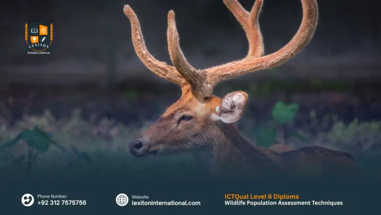 ICTQual Level 6 Diploma in Wildlife Population Assessment Techniques