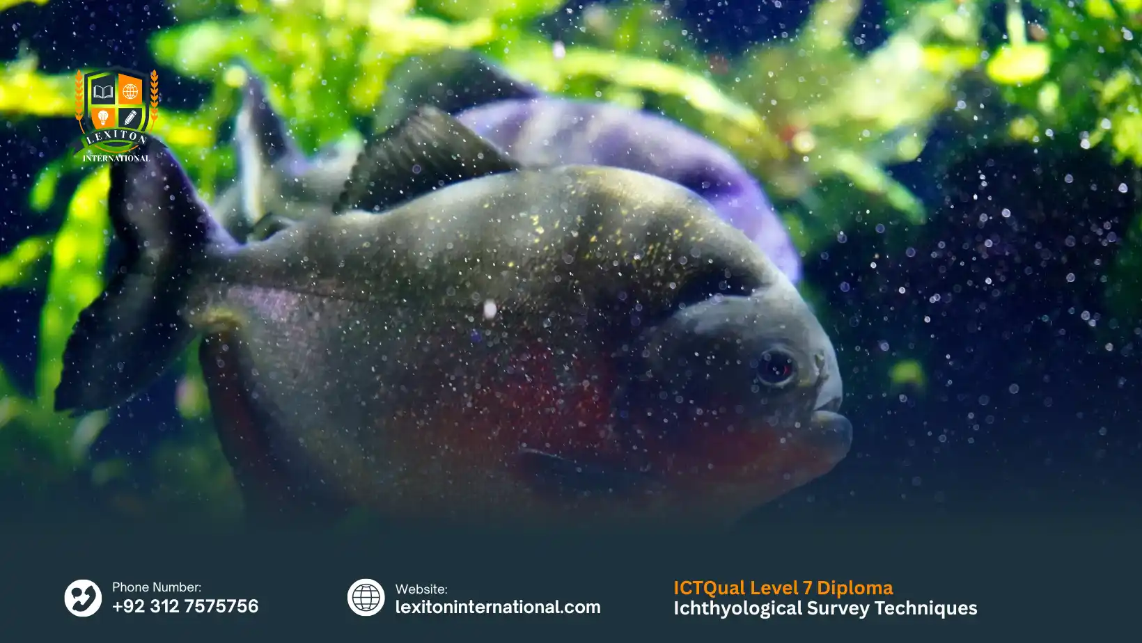 ICTQual Level 7 Diploma in Ichthyological Survey Techniques