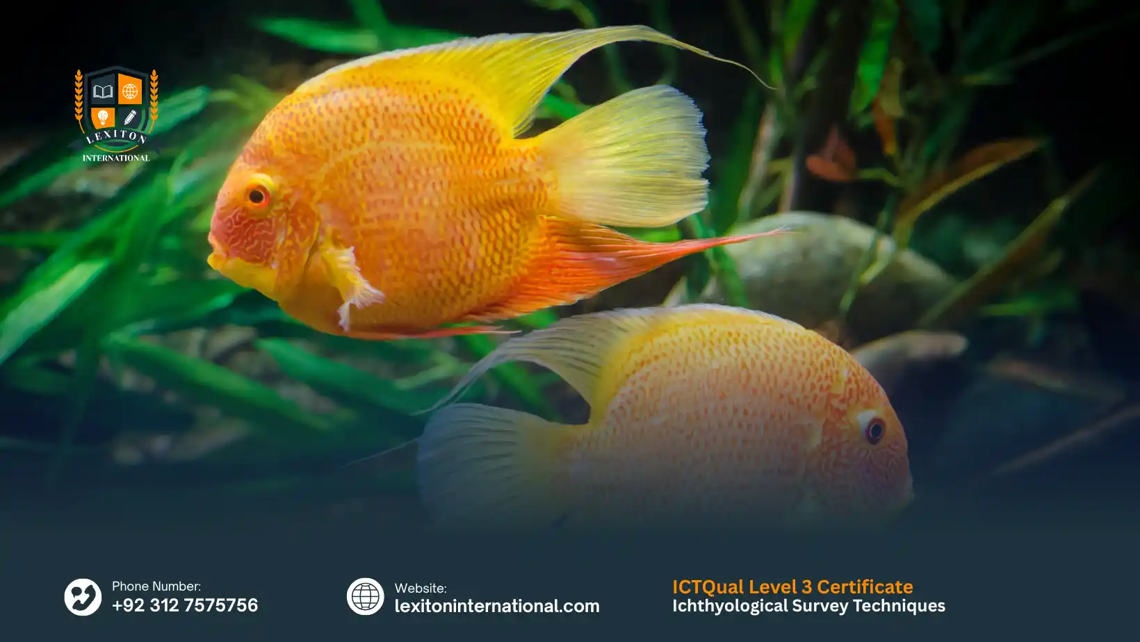 ICTQual Level 3 Certificate in Ichthyological Survey Techniques