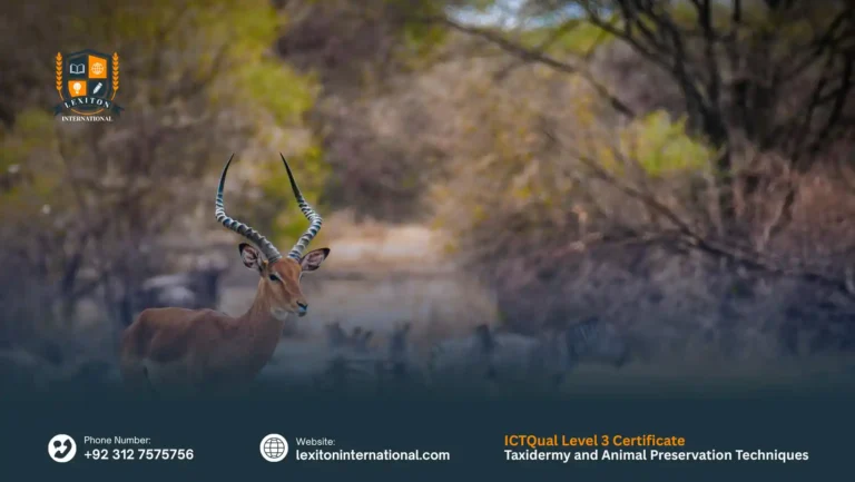 ICTQual Level 3 Certificate in Taxidermy and Animal Preservation Techniques