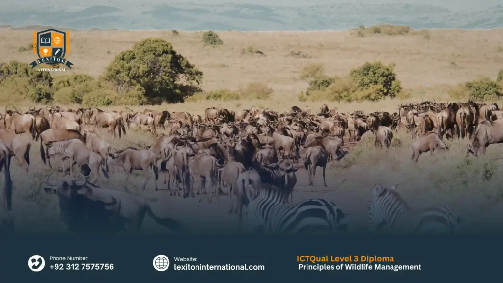 ICTQual Level 3 Diploma in Principles of Wildlife Management