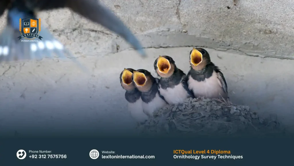 ICTQual Level 4 Diploma in Ornithology Survey Techniques