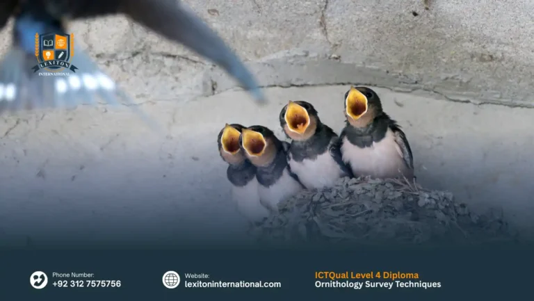 ICTQual Level 4 Diploma in Ornithology Survey Techniques
