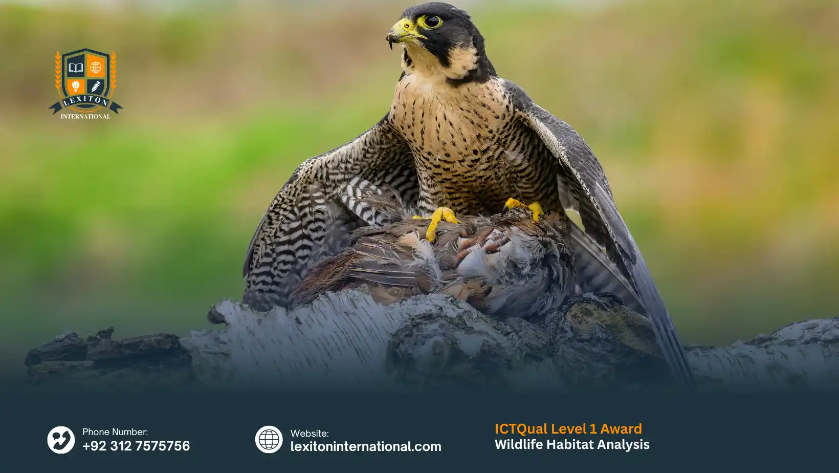 ICTQual Level 1 Award in Wildlife Habitat Analysis