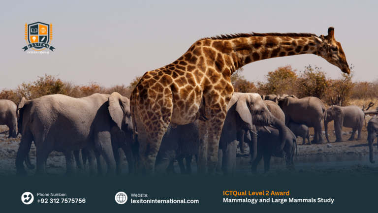 ICTQual Level 2 Award in Mammalogy and Large Mammals Study Techniques