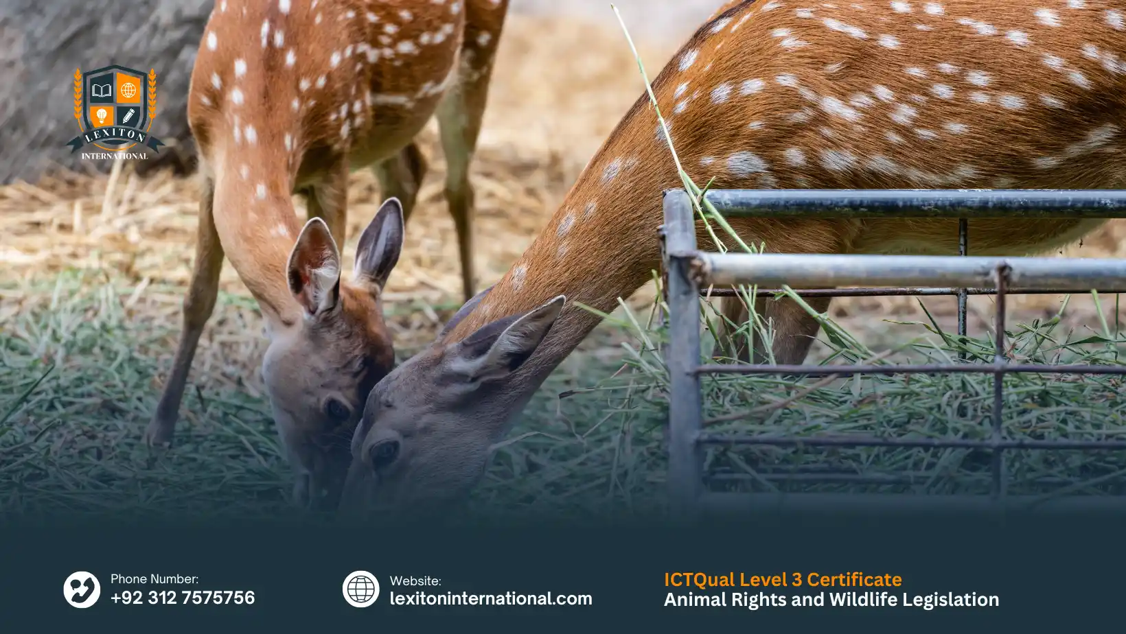 ICTQual Level 3 Certificate in Animal Rights and Wildlife Legislation