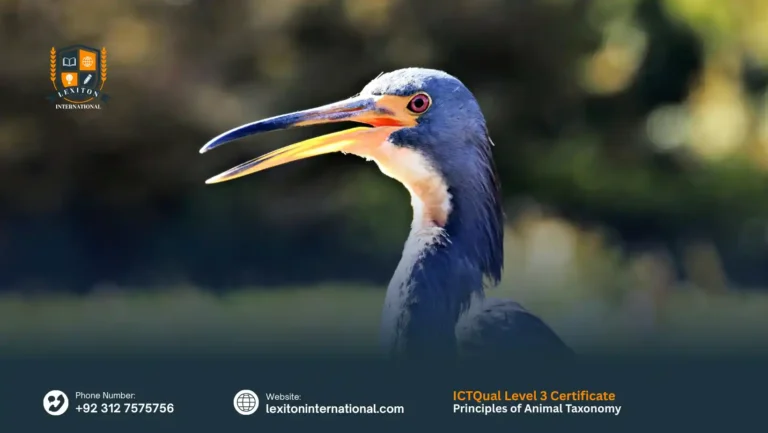 ICTQual Level 3 Certificate in Principles of Animal Taxonomy