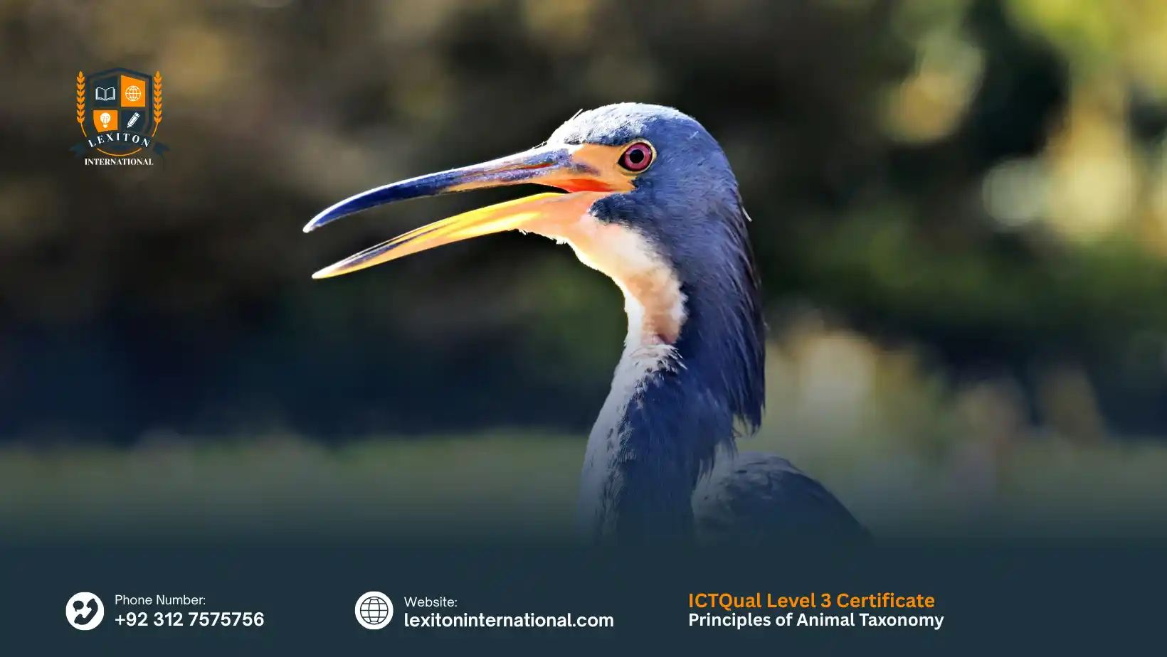 ICTQual Level 3 Certificate in Principles of Animal Taxonomy