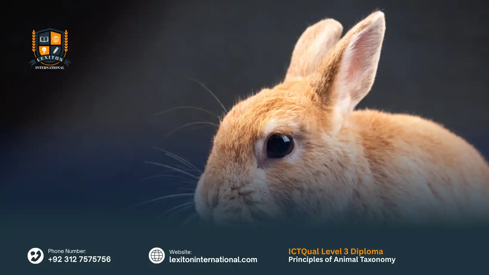 ICTQual Level 3 Diploma in Principles of Animal Taxonomy