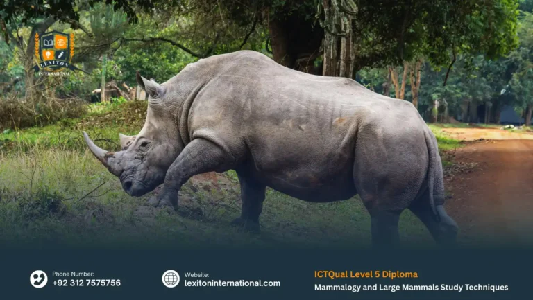 ICTQual Level 5 Diploma in Mammalogy and Large Mammals Study Techniques