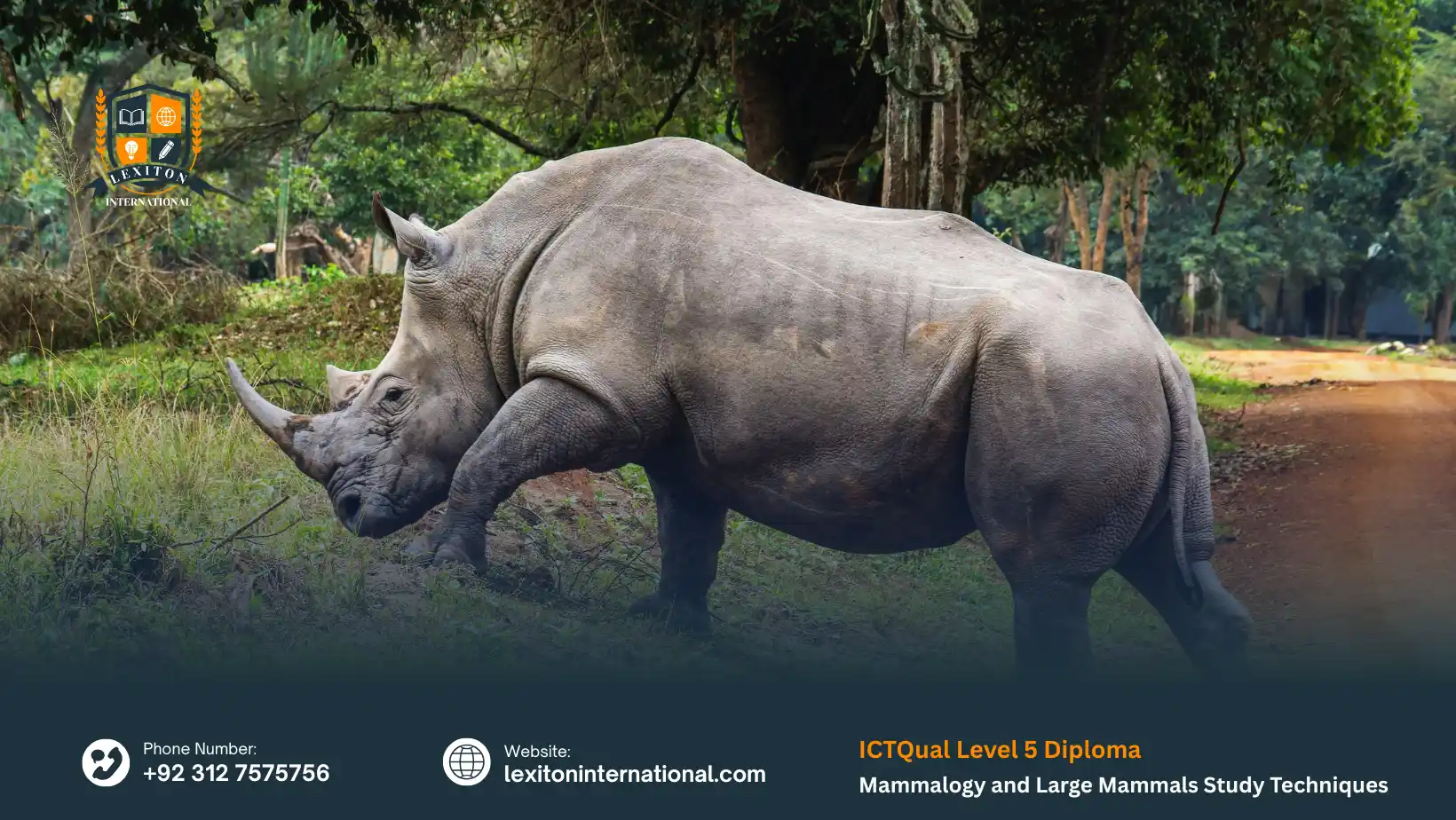 ICTQual Level 5 Diploma in Mammalogy and Large Mammals Study Techniques