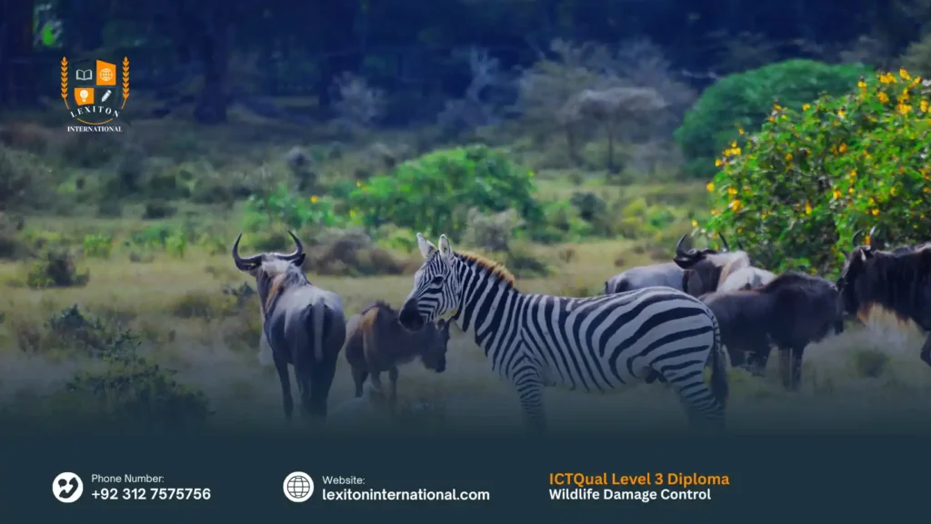 ICTQual Level 6 Diploma in Wildlife Damage Control