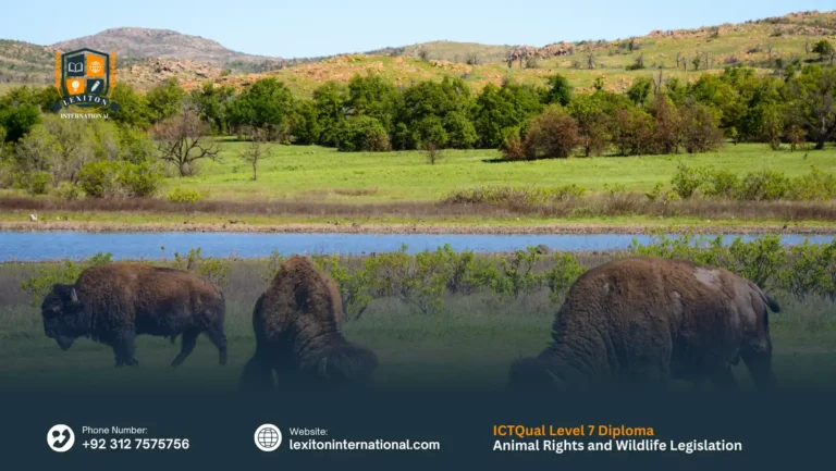 ICTQual Level 7 Diploma in Animal Rights and Wildlife Legislation