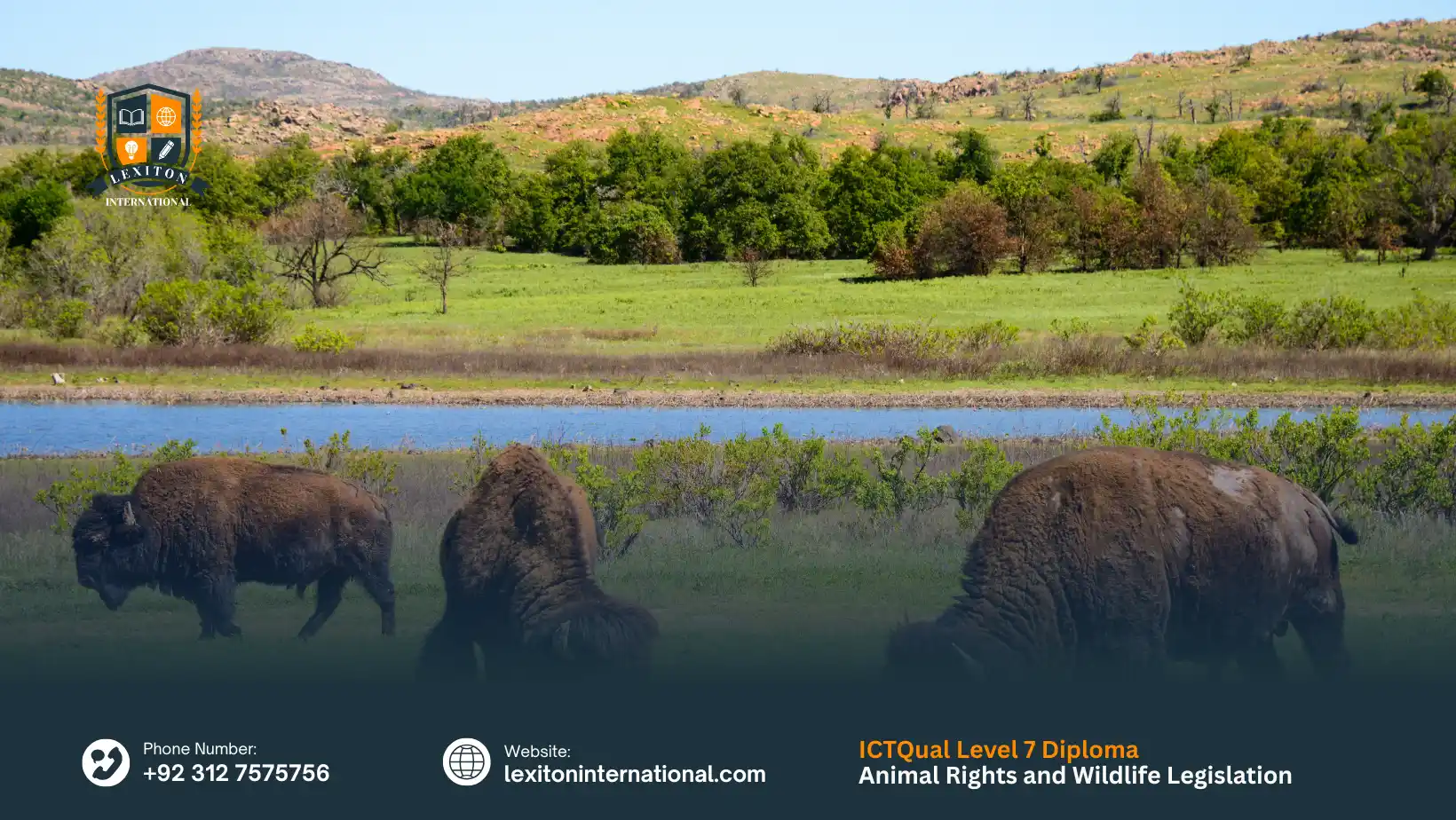 ICTQual Level 7 Diploma in Animal Rights and Wildlife Legislation