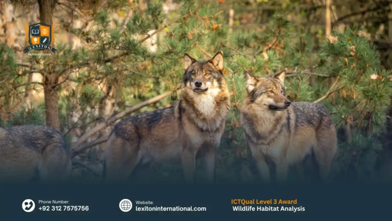 ICTQual Level 3 Award in Wildlife Habitat Analysis