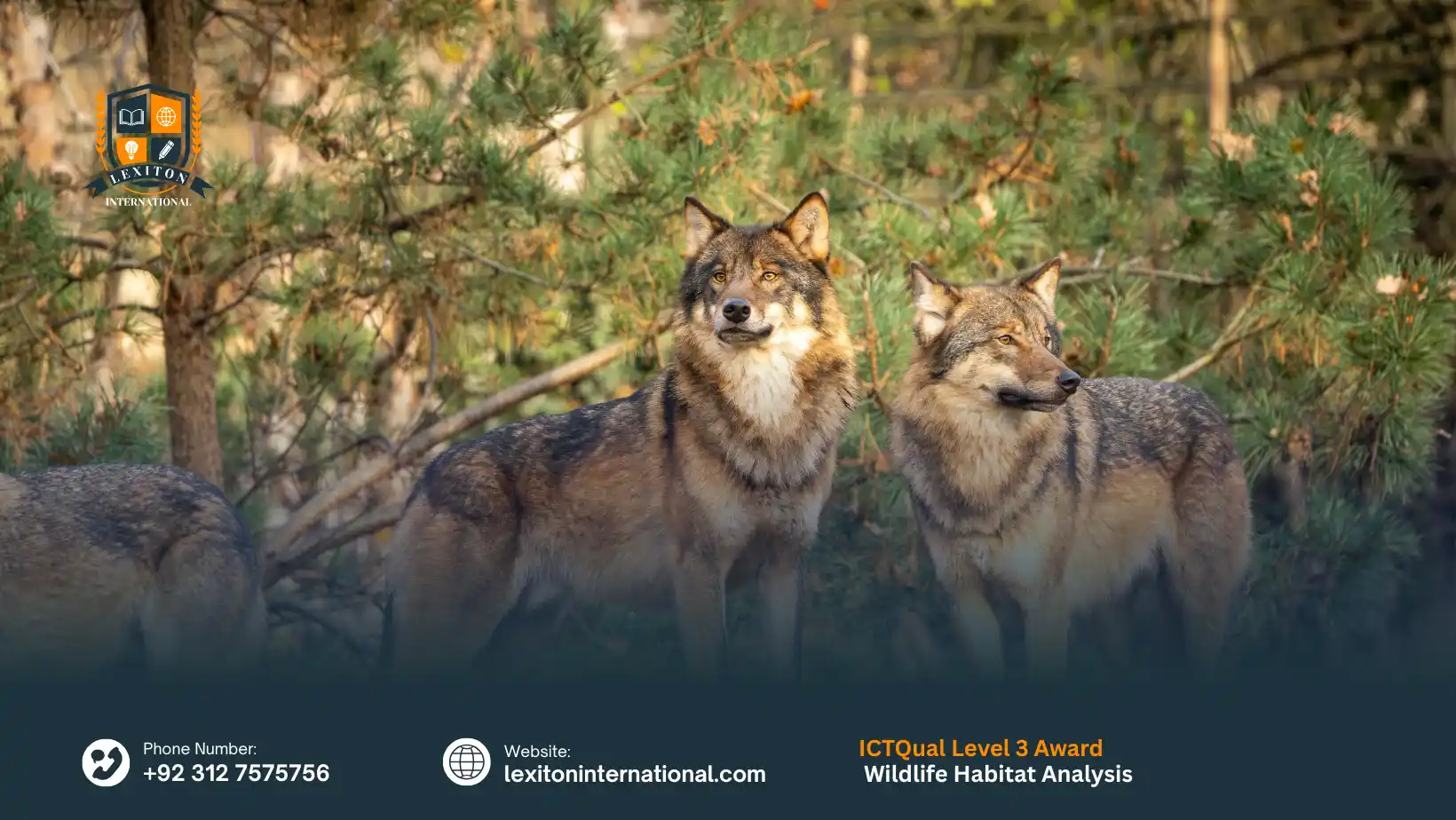 ICTQual Level 3 Award in Wildlife Habitat Analysis