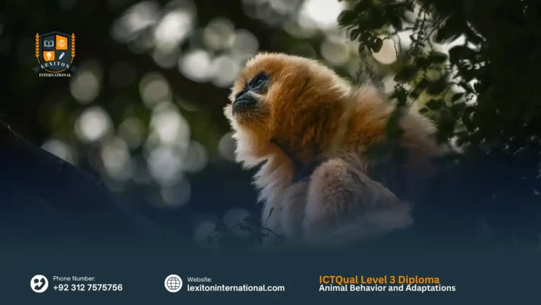 ICTQual Level 3 Diploma in Animal Behavior and Adaptations