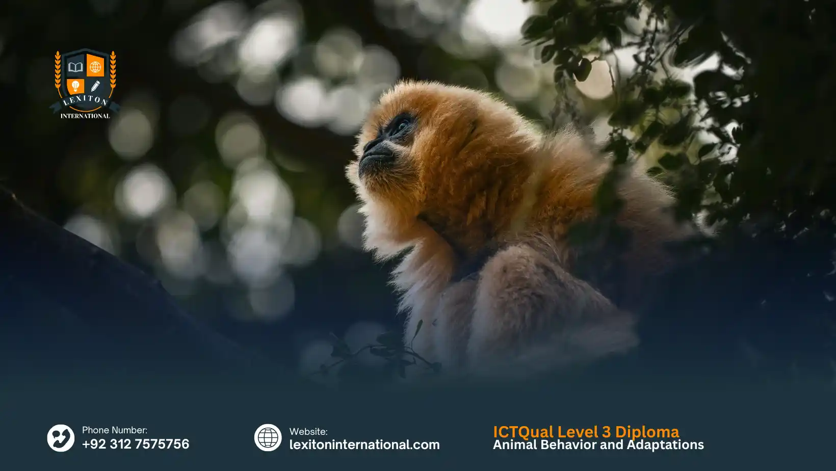 ICTQual Level 3 Diploma in Animal Behavior and Adaptations