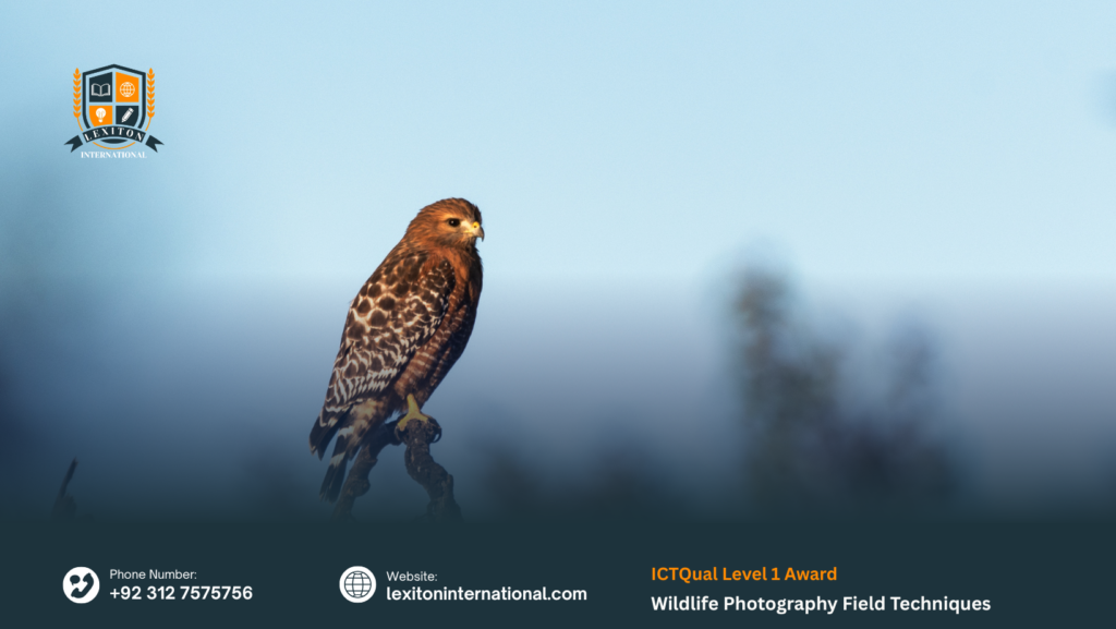 ICTQual Level 1 Award in Wildlife Photography Field Techniques 234 ICTQual Level 1 Award in Wildlife Photography Field Techniques
