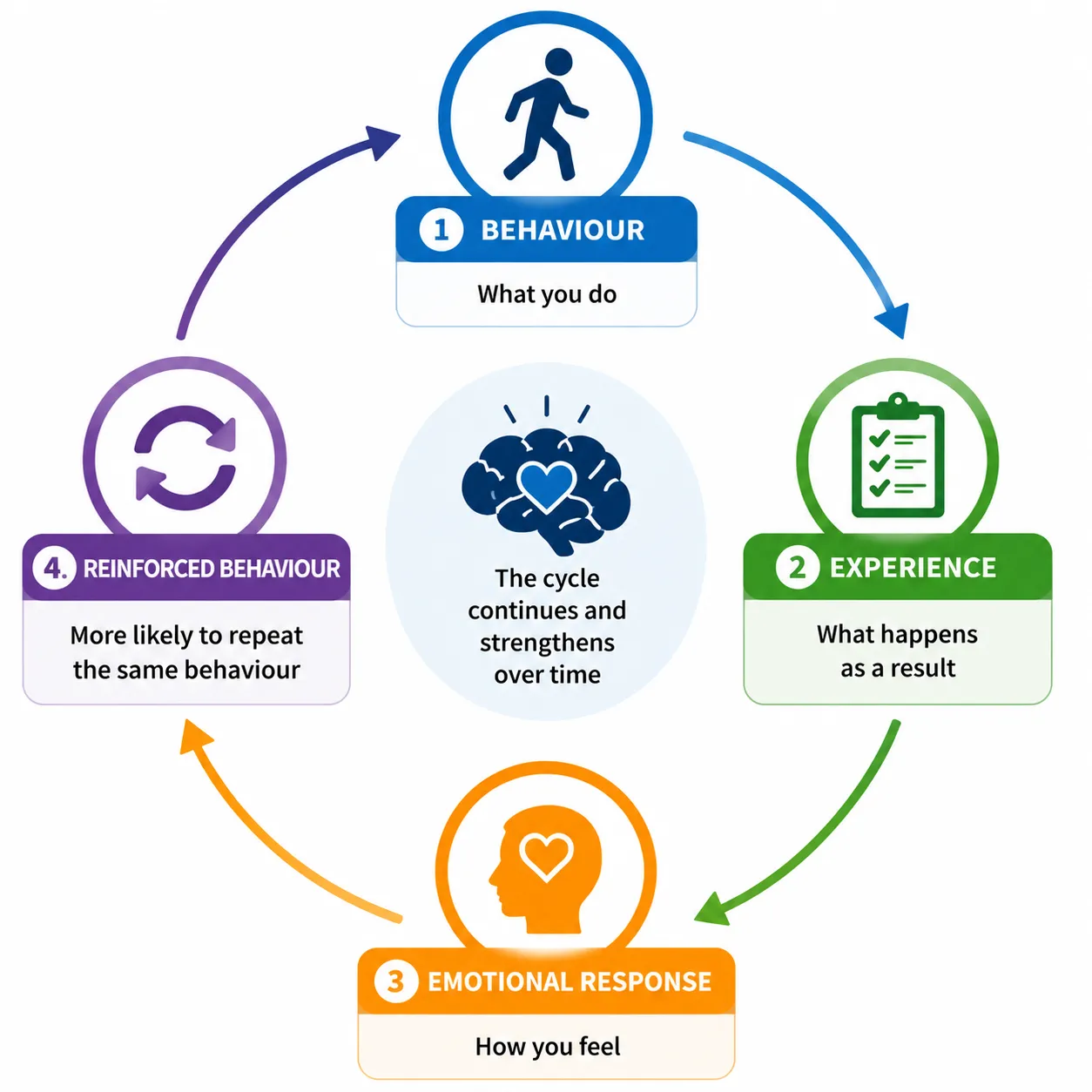 Lesson 2: Explain how Behaviour Influences Emotional Wellbeing 2 Behavior and emotional response cycle
