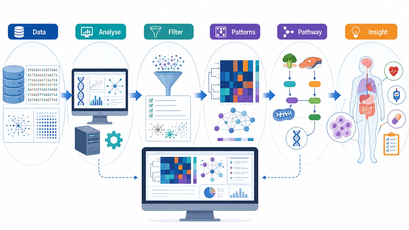 Lesson no 2 : Analyse nutrigenomics and nutrigenetics data. 3 Bioinformatics Omics Pipeline Infographic