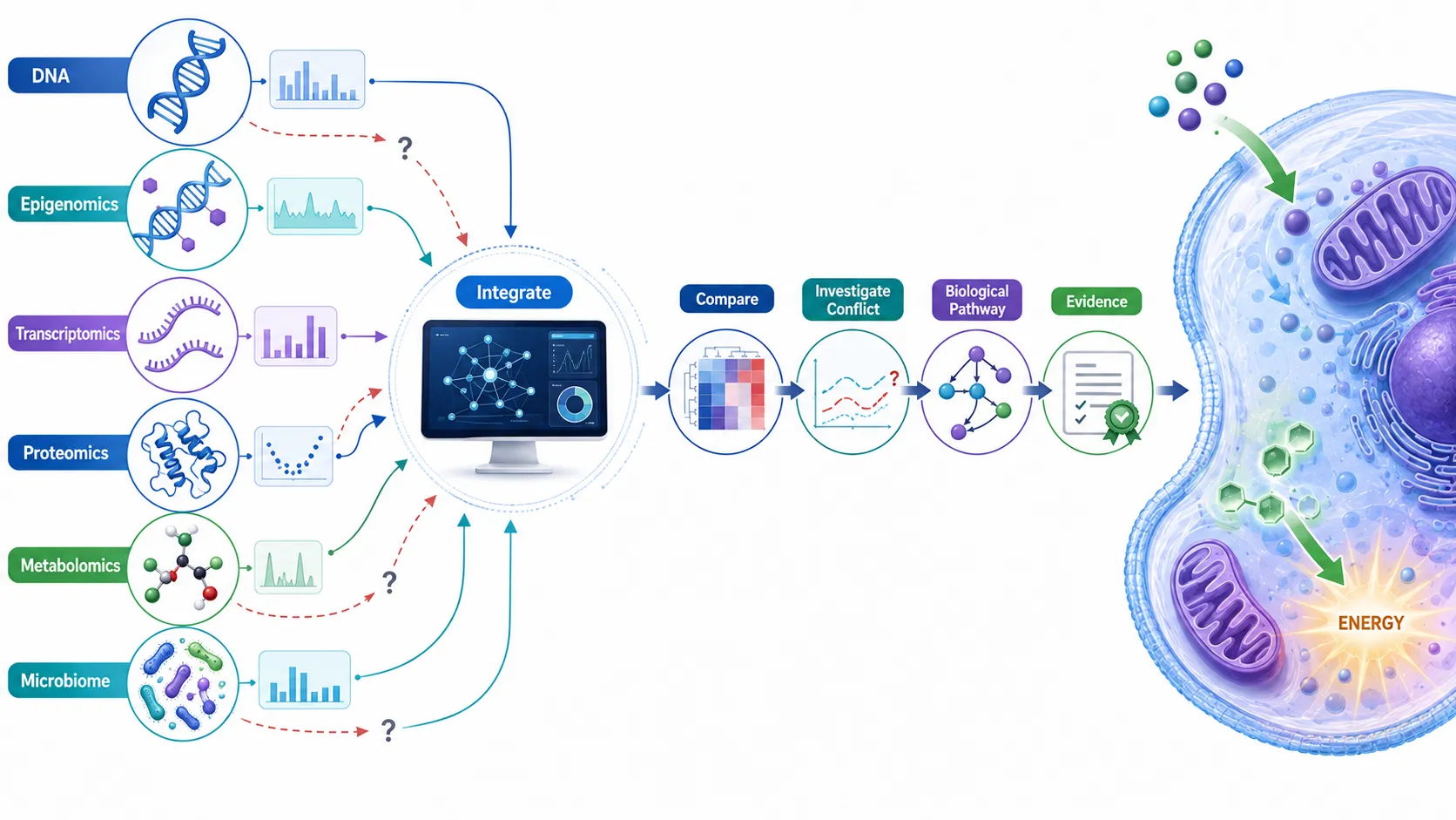 Lesson no 2 : Analyse nutrigenomics and nutrigenetics data. 6 Multi Omics Integration to Energy