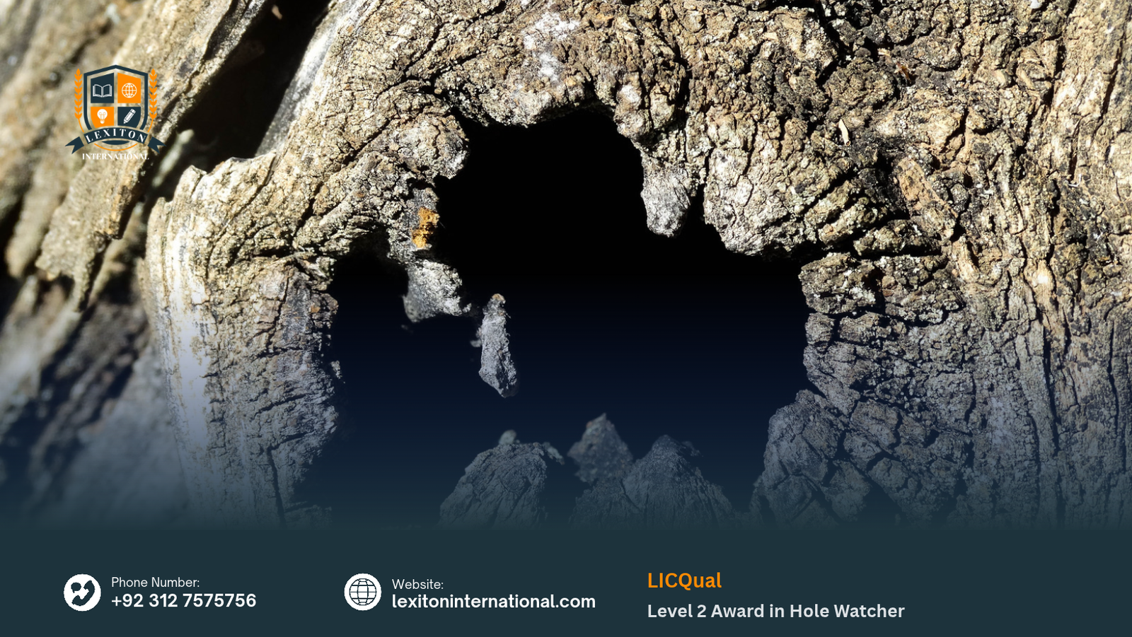 LICQual Level 2 Award in Hole Watcher